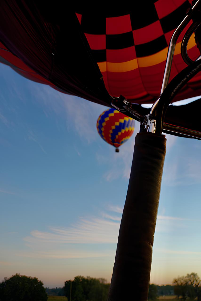 Bobs-Balloons-5